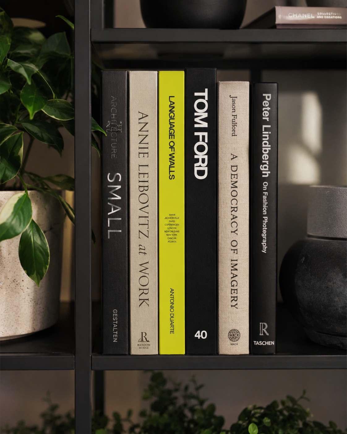 Language of Walls Book
