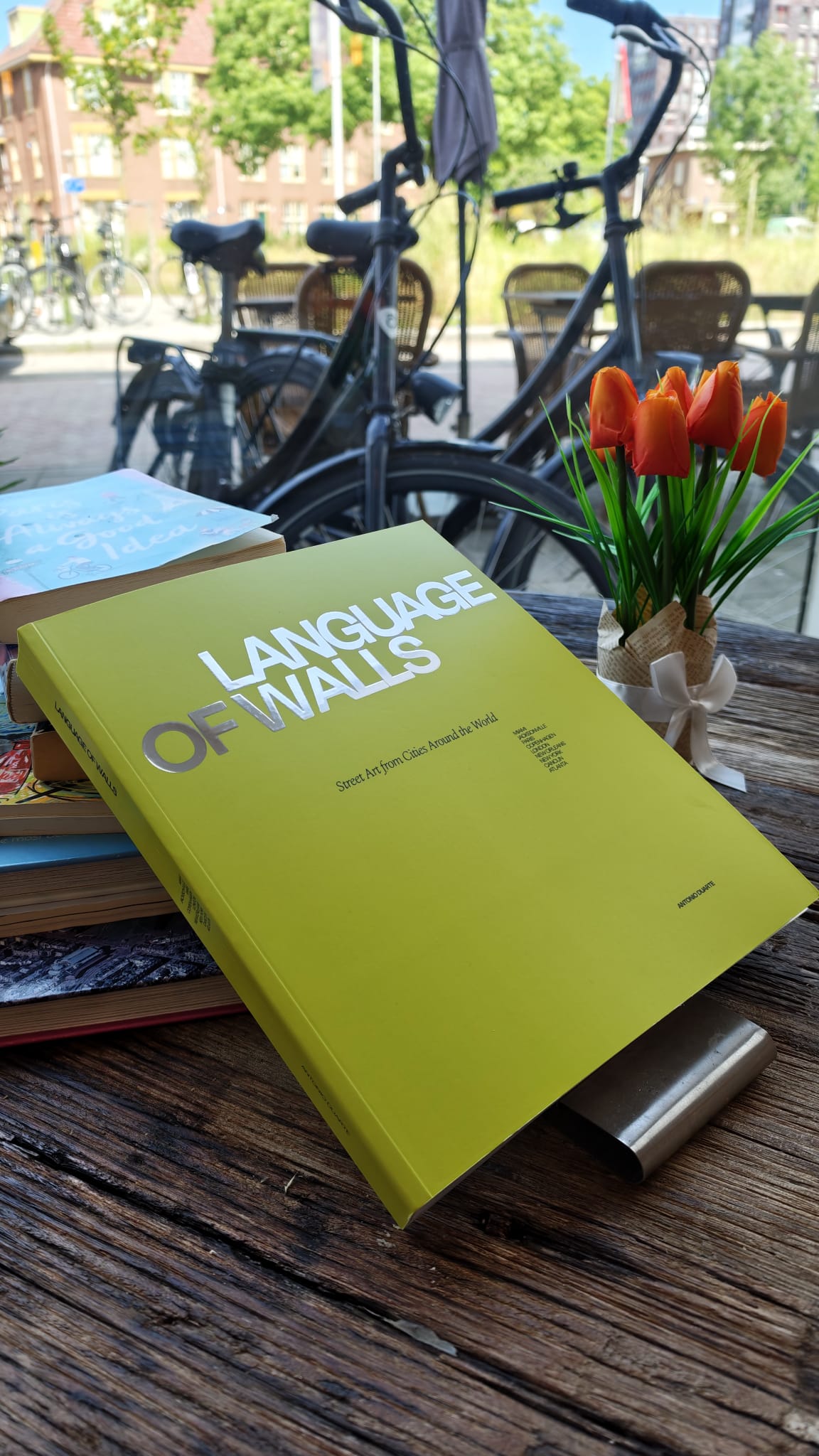 Language of Walls Book